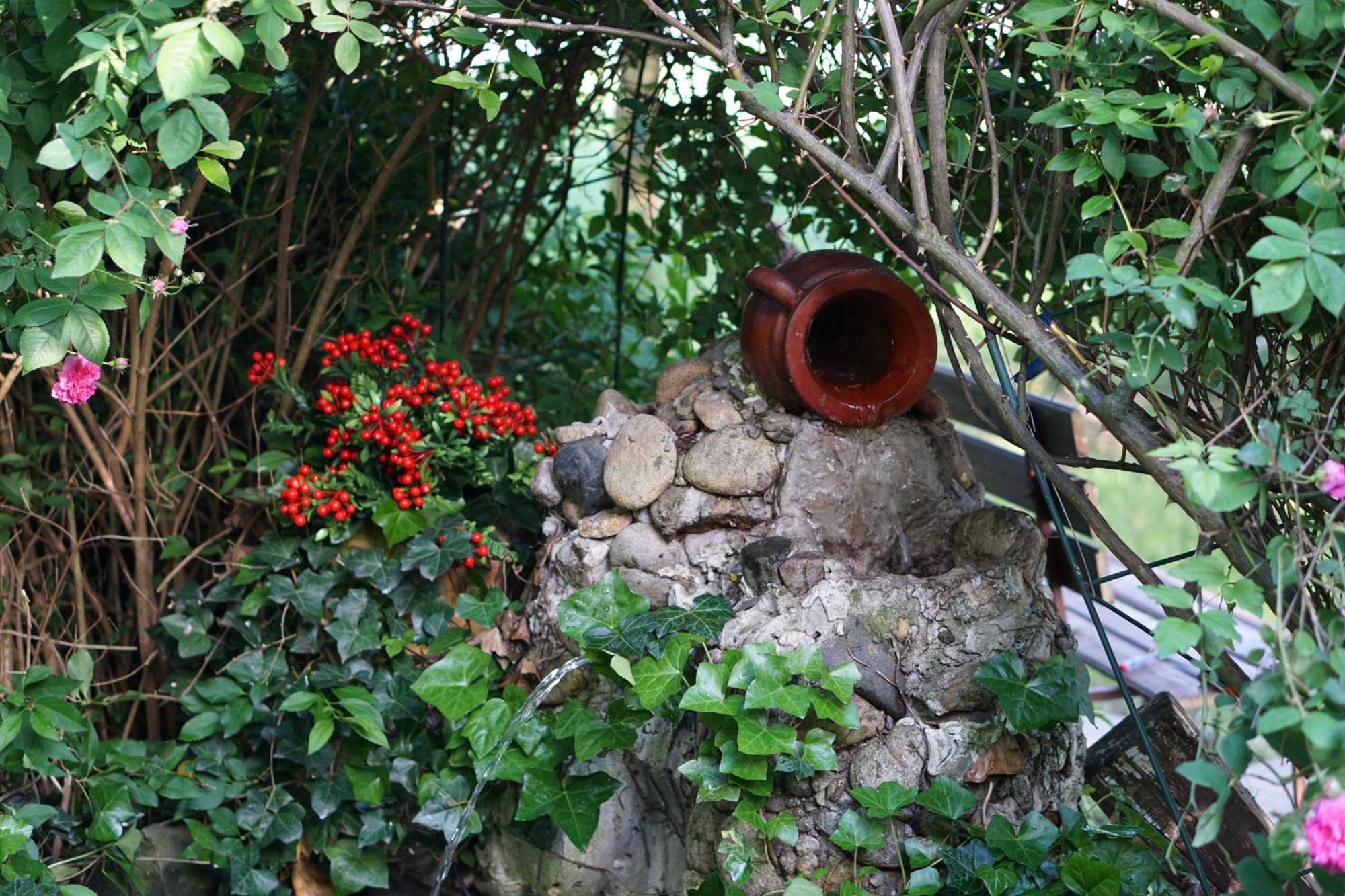 Villa Hanna'S Garden - Mintia Exterior foto