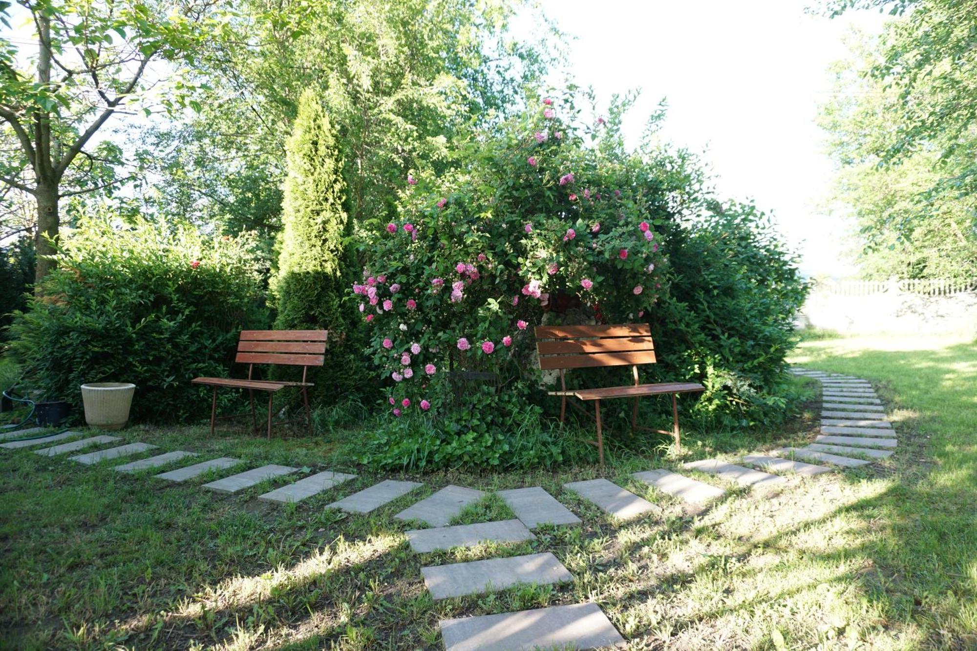 Villa Hanna'S Garden - Mintia Exterior foto